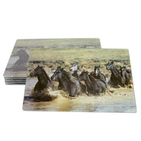 SUPER SALE   Placemats Set of 6 Boxes- Mixed Pack - [ P101-15 ]