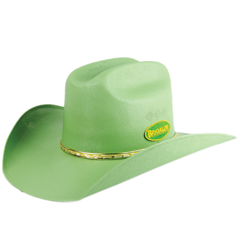 Green Straw Cowboy Hat Green Cowboy Hat Costume
