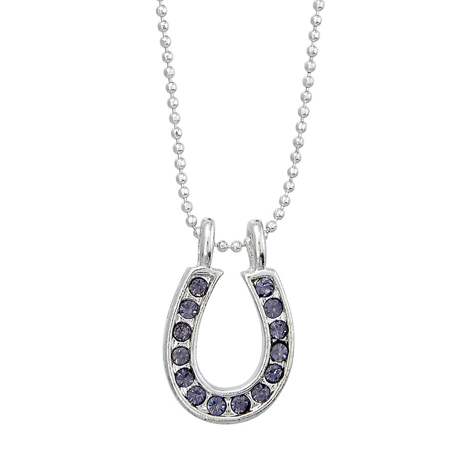 Necklace - Purple Rhinestone Horseshoe -  Gift Boxed - JN898PU