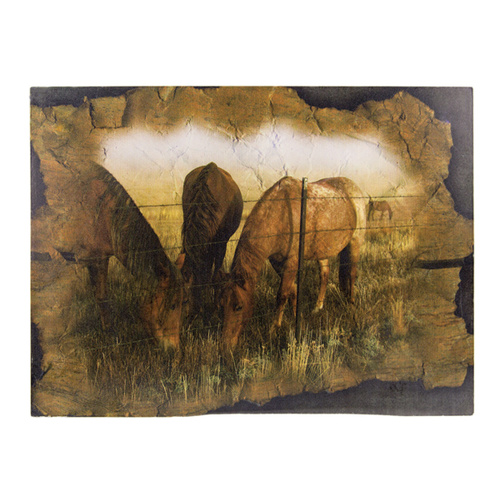 Tin Sign - Horses In Paddock - TS06